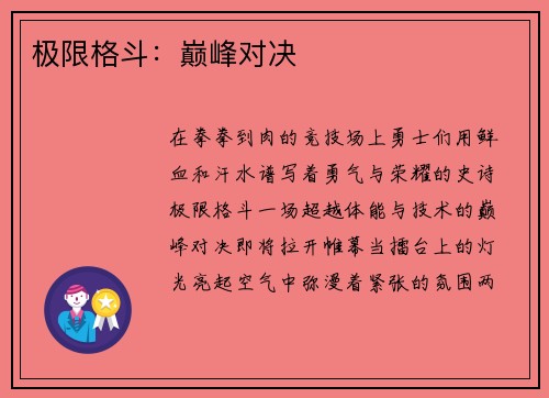 极限格斗：巅峰对决